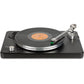 VPI Player Turntable